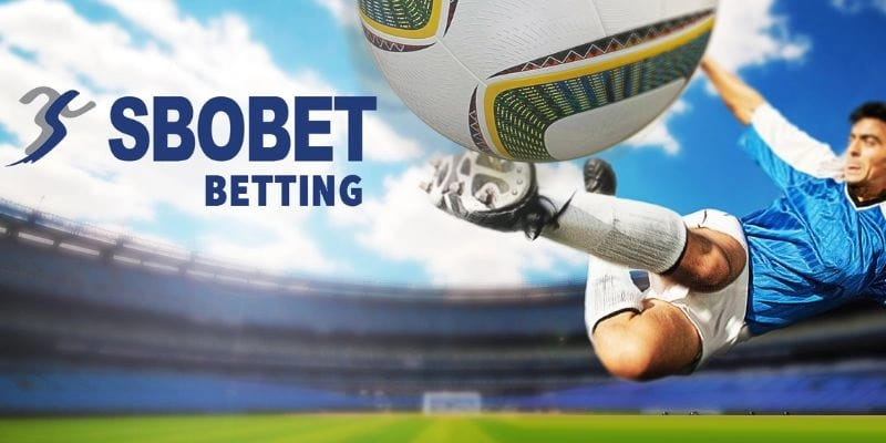 Các loại kèo cược tại sảnh SBO thể thao