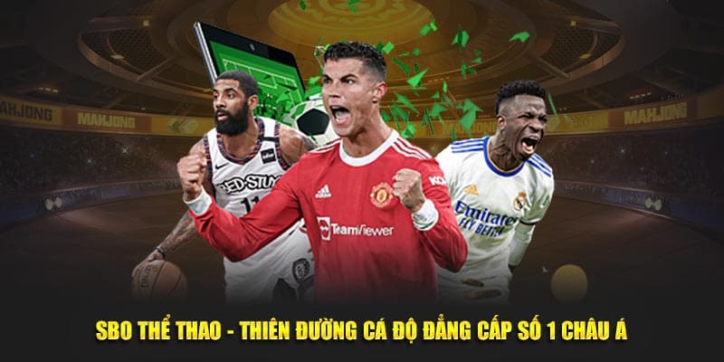 Lý do sảnh SBO thể thao được yêu thích